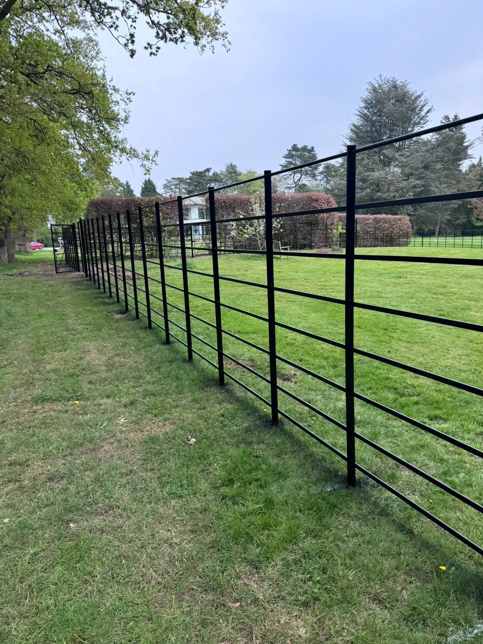Deer Fence Painted Warwickshire 10