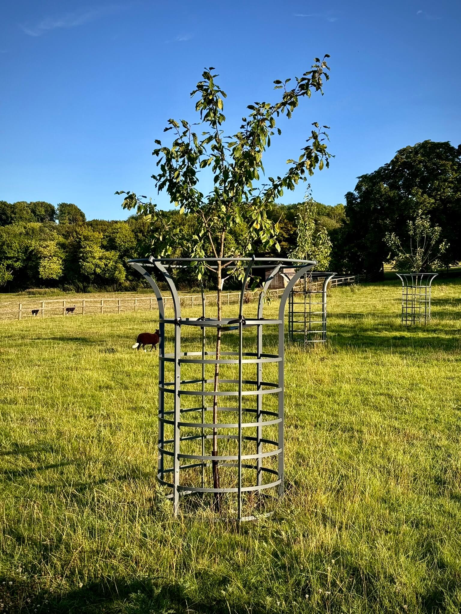 Park Tree Guard Painted Oxfordshire 3